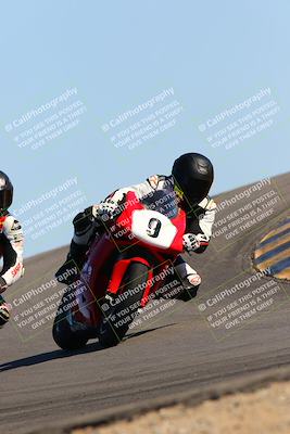 media/Feb-12-2022-SoCal Trackdays (Sat) [[3b21b94a56]]/Turn 12 (140pm)/